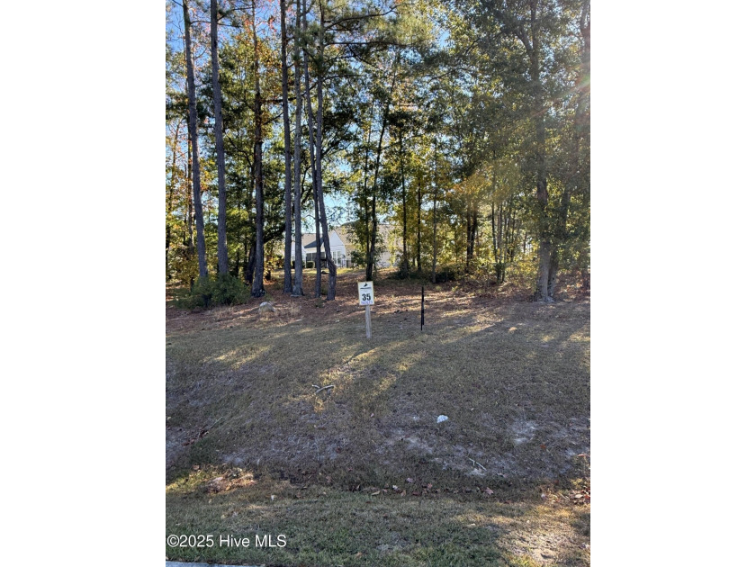 Discover your slice of coastal paradise in Preservation Point-an - Beach Lot for sale in Wilmington, North Carolina on Beachhouse.com