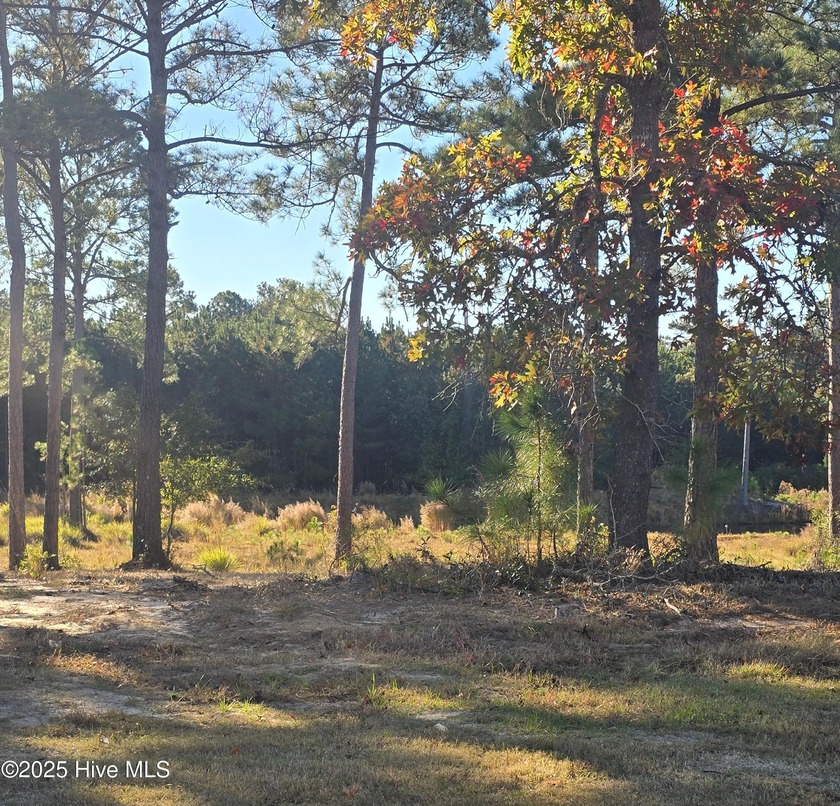 Discover the perfect setting for your coastal dream home on this - Beach Lot for sale in Sunset Beach, North Carolina on Beachhouse.com