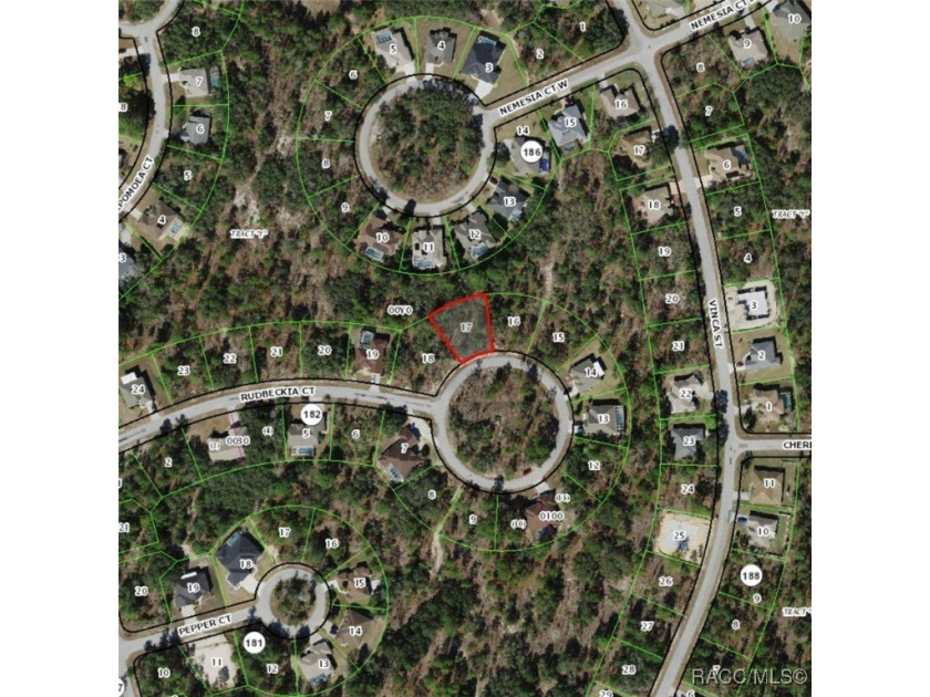 Beautiful 70 x 120 lot on cul sac street with Northern rear - Beach Lot for sale in Homosassa, Florida on Beachhouse.com