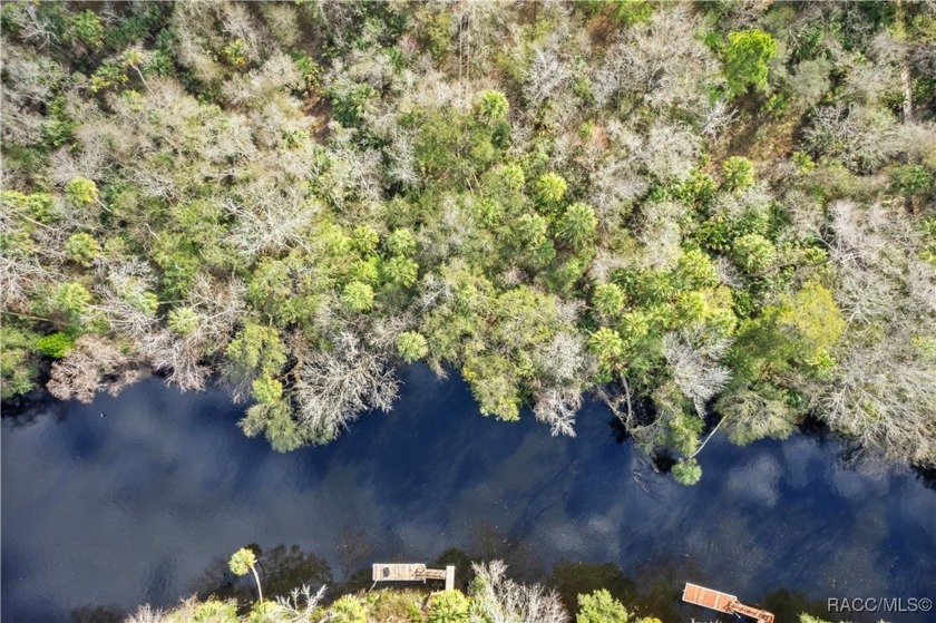 Opportunities like this don't come around often! This 1.56-acre - Beach Lot for sale in Inglis, Florida on Beachhouse.com