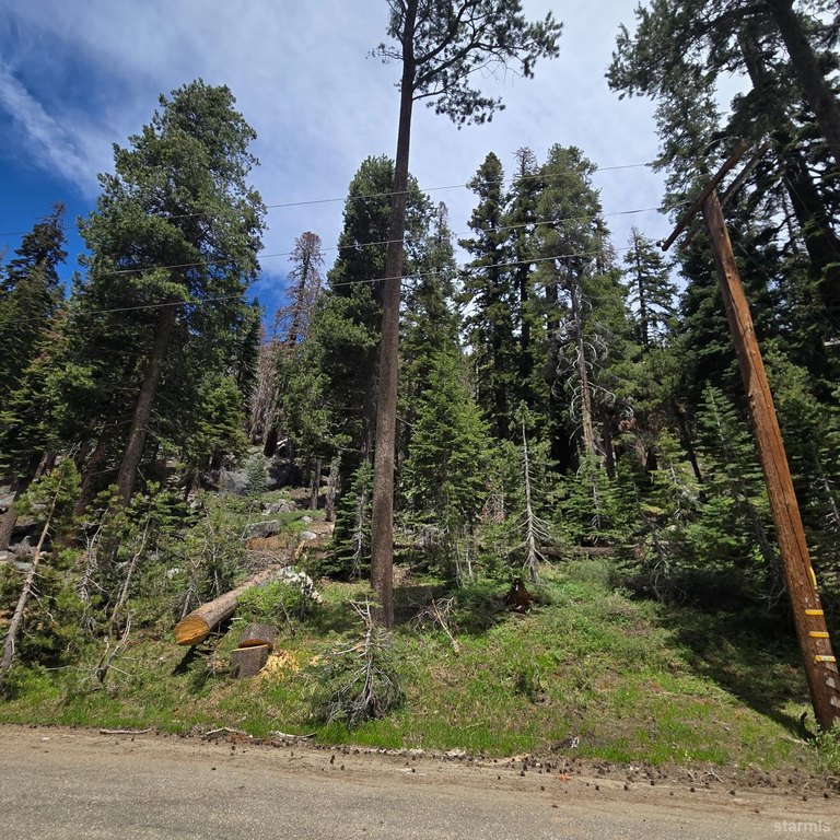 Beautiful lot on frontage road to Highway 50. Close to Echo Lake - Beach Lot for sale in South Lake Tahoe, California on Beachhouse.com