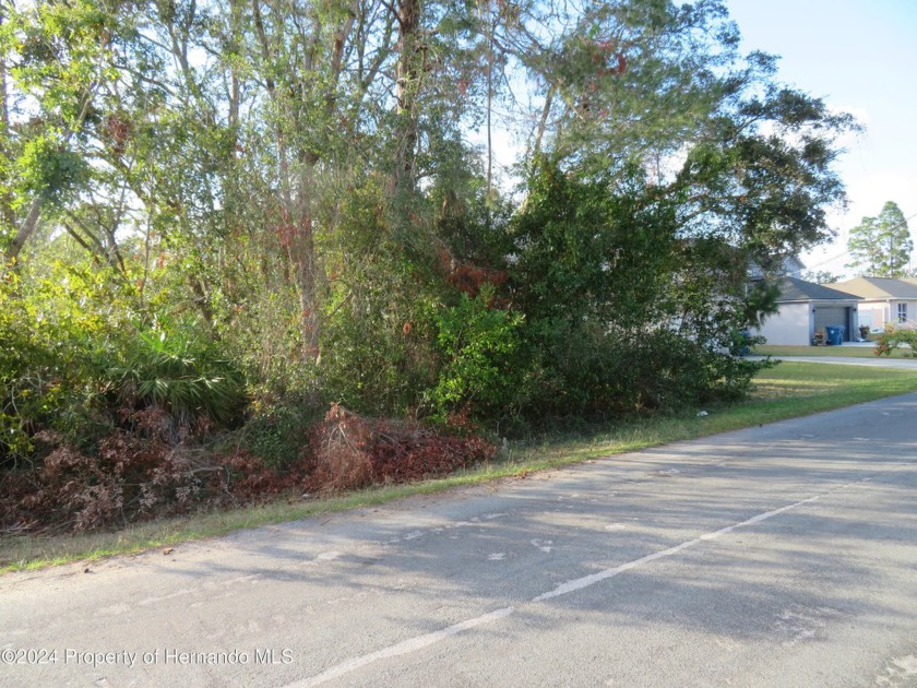 Great lot in a quiet and beautiful neighborhood. Perfect - Beach Lot for sale in Spring Hill, Florida on Beachhouse.com