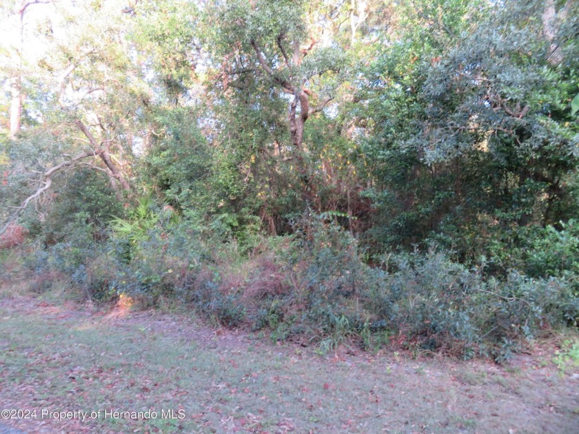 Great lot in a quiet and beautiful neighborhood. Perfect - Beach Lot for sale in Spring Hill, Florida on Beachhouse.com