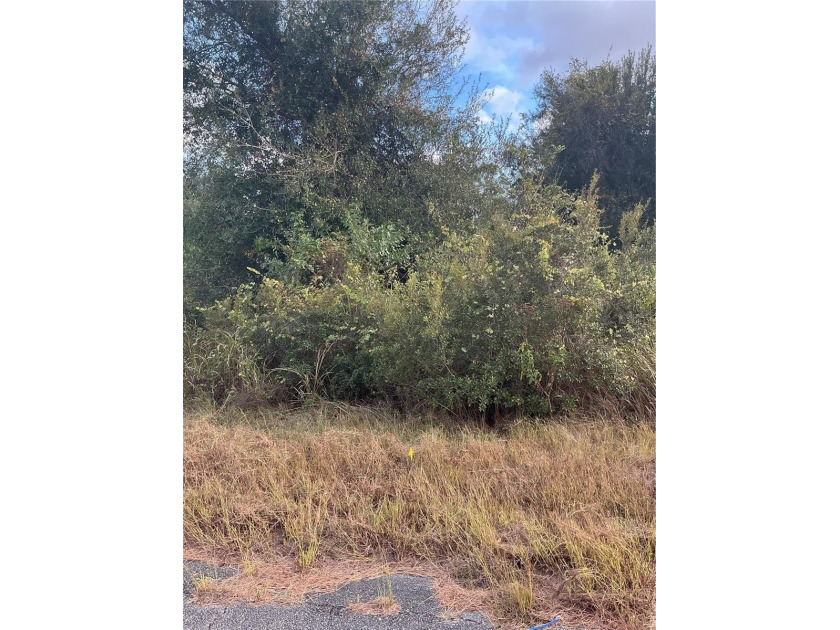 SPACIOUS NORTH PORT HOMESITE IN A RAPIDLY GROWING AREA! Don't - Beach Lot for sale in North Port, Florida on Beachhouse.com