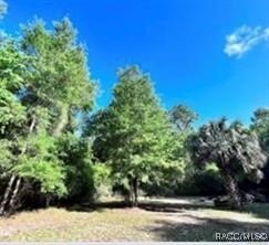 9.5 Acres of Prime Mixed-Use Property in Inglis, FL Discover the - Beach Acreage for sale in Inglis, Florida on Beachhouse.com