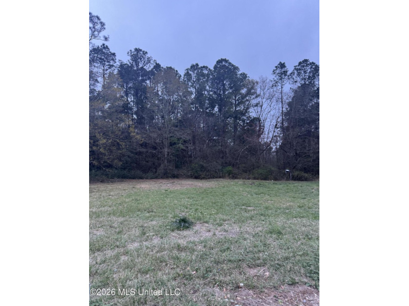 Lot 77 is a cleared lot ready for your future home. This - Beach Lot for sale in Gulfport, Mississippi on Beachhouse.com