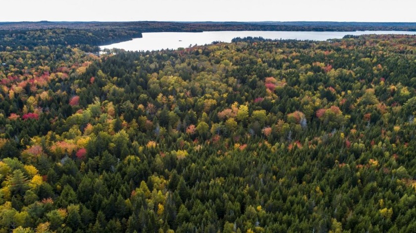 Build your dream home or family compound with beautifully - Beach Lot for sale in Whiting, Maine on Beachhouse.com