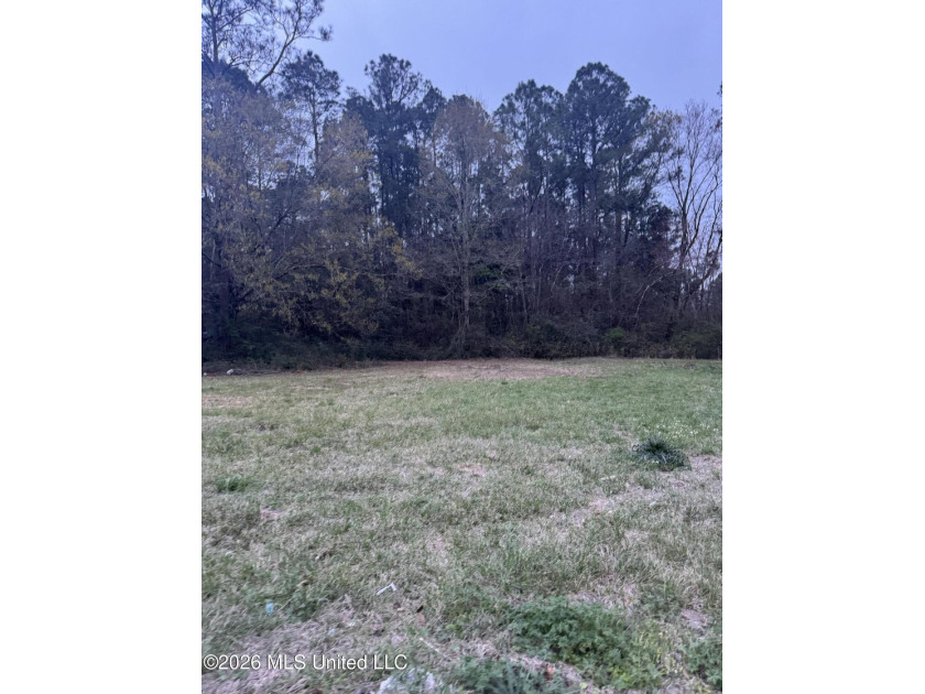 Lot 51 - Great Opportunity in Gulfport! This cleared lot is - Beach Lot for sale in Gulfport, Mississippi on Beachhouse.com