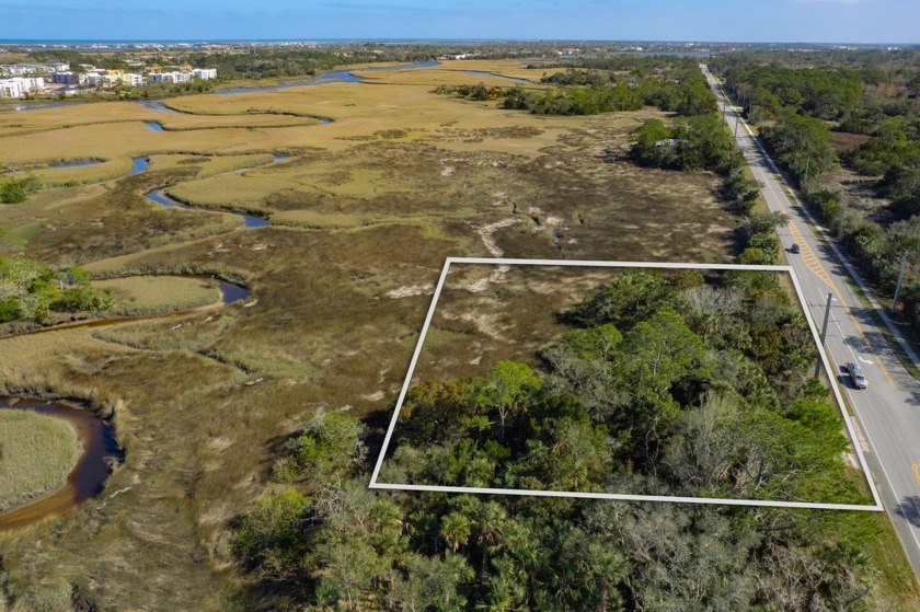 Immerse Yourself In The Natural Beauty Of This Breathtaking - Beach Lot for sale in St Augustine, Florida on Beachhouse.com