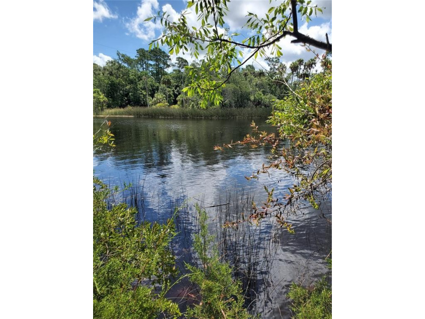 RIVERFRONT IN STEINHATCHEE!!! Come build your dream get-away on - Beach Lot for sale in Steinhatchee, Florida on Beachhouse.com