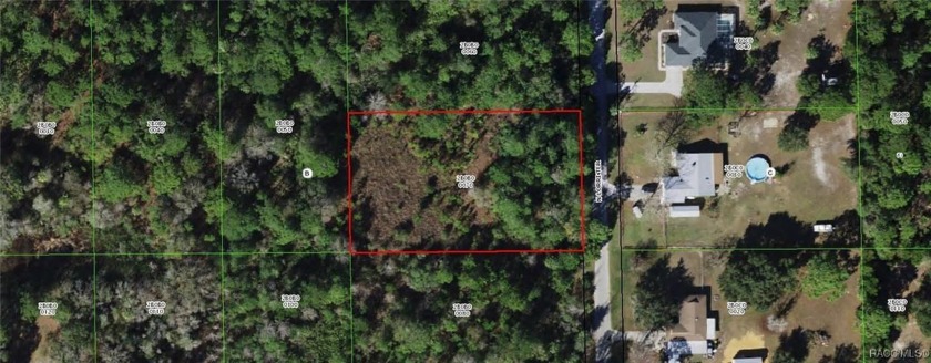 Over 1 acre homesite in Crystal River, FL! Great location east - Beach Lot for sale in Crystal River, Florida on Beachhouse.com