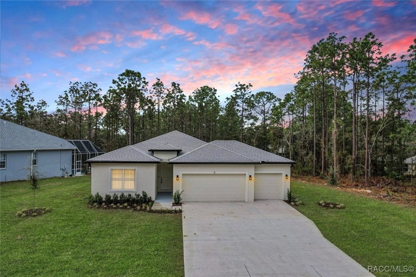 Absolutely stunning Brand-New construction 4-Bedroom 3-Bathroom - Beach Home for sale in Homosassa, Florida on Beachhouse.com