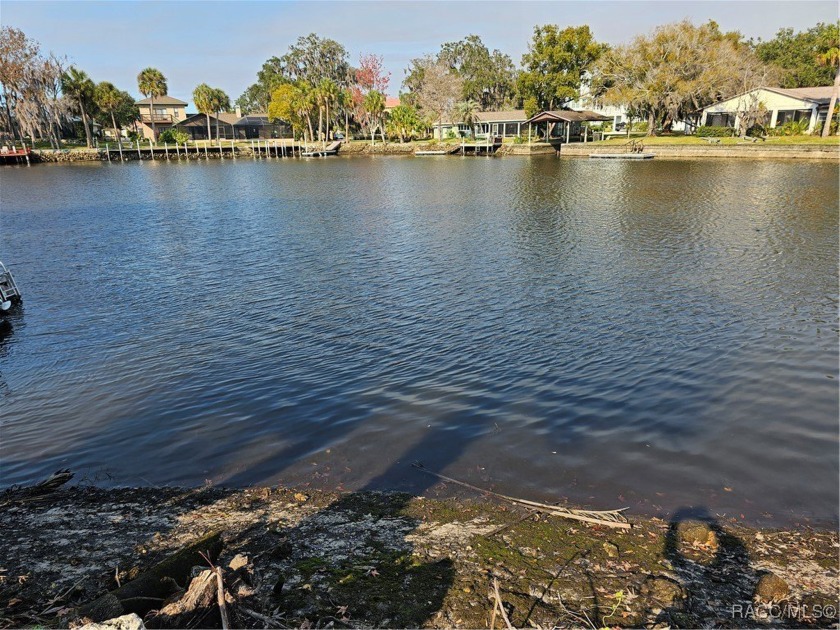 Looking for the ideal location and land upon which to build your - Beach Lot for sale in Crystal River, Florida on Beachhouse.com