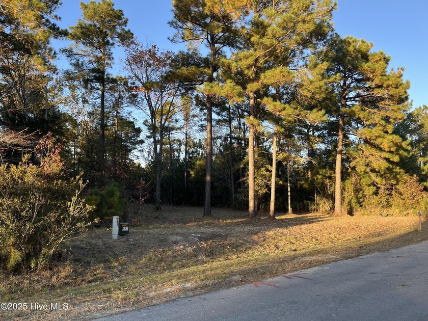 This wooded subdivision lot is located within a quiet waterfront - Beach Lot for sale in Vandemere, North Carolina on Beachhouse.com