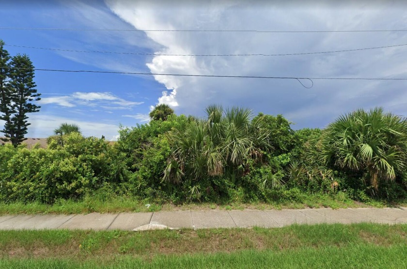 Welcome to Ormond Beach!! This lot is .37 Acres perfectly - Beach Lot for sale in Ormond Beach, Florida on Beachhouse.com