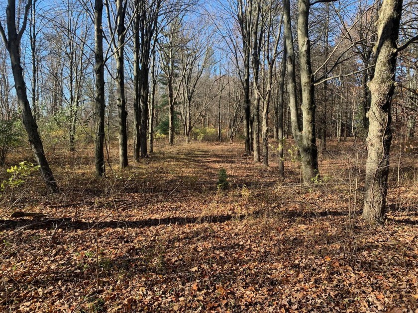 Beautiful wooded 1.5 acre building site in Chikaming Township - Beach Lot for sale in Harbert, Michigan on Beachhouse.com