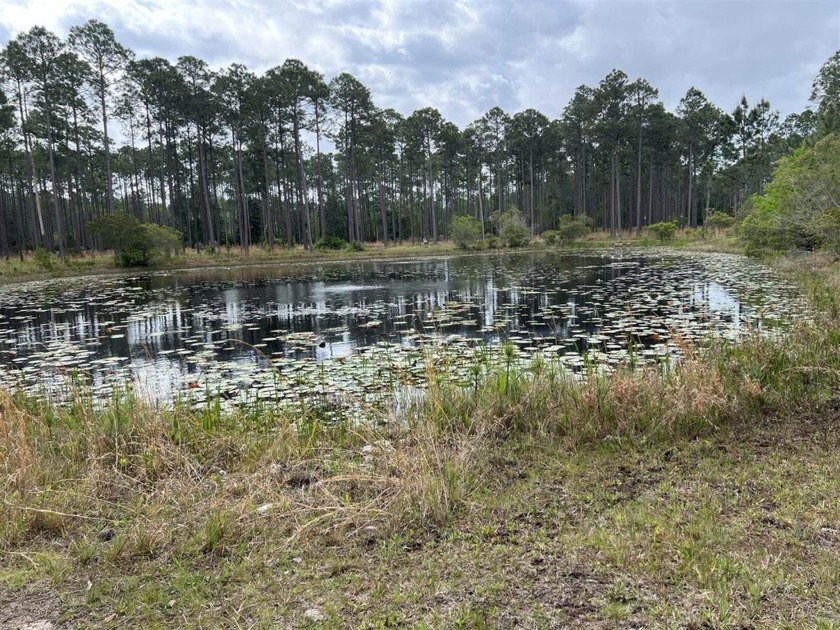 This large (1.65 acres) very private lot in Rivercamps is a - Beach Lot for sale in Panama City Beach, Florida on Beachhouse.com