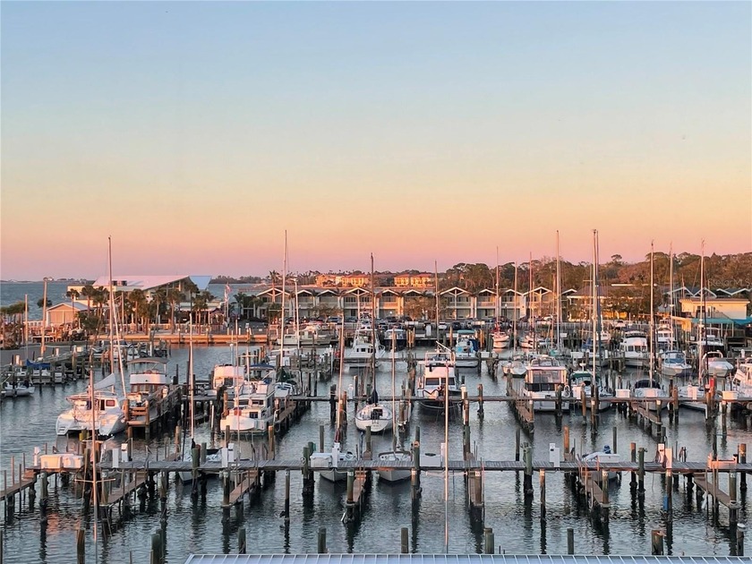 Live the waterfront dream! This beautifully renovated condo - Beach Condo for sale in Dunedin, Florida on Beachhouse.com