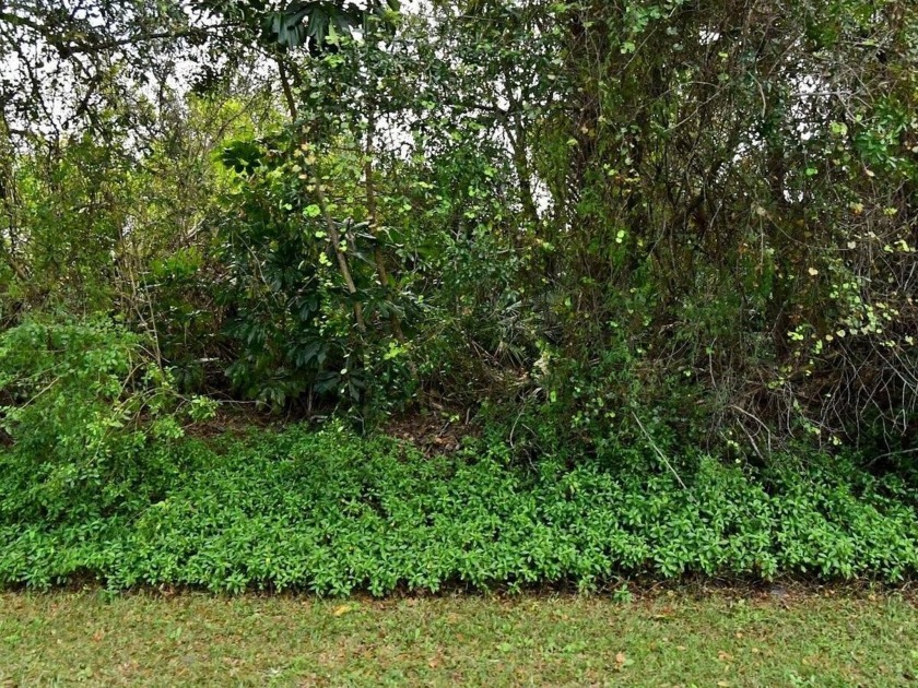 Opportunity to own/build on a Large Corner Lot in the Lakewood - Beach Lot for sale in Fort Pierce, Florida on Beachhouse.com