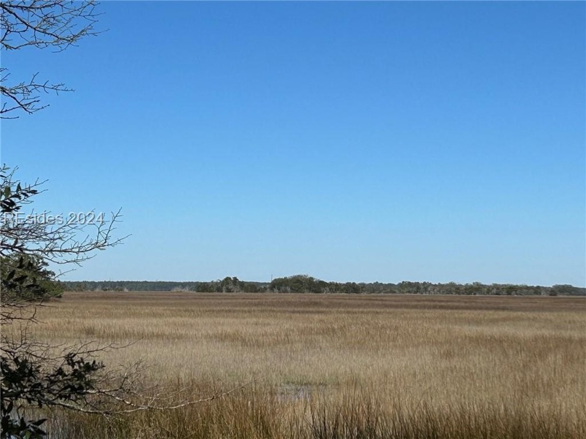 What is not to love?  Over 125 feet of high marsh frontage and - Beach Lot for sale in Daufuskie Island, South Carolina on Beachhouse.com