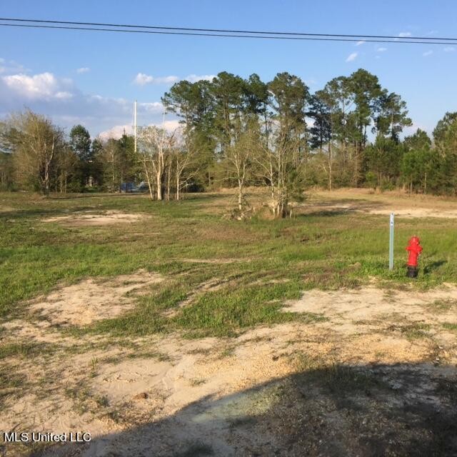 Beautiful deep water lot on natural bayou with 500ft of - Beach Lot for sale in Bay Saint Louis, Mississippi on Beachhouse.com