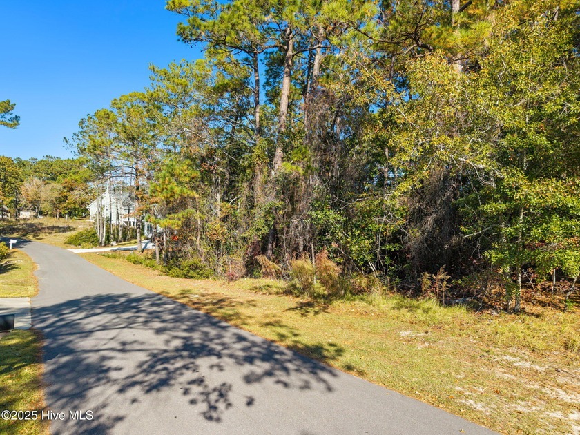 Discover the perfect setting for your coastal dream home in the - Beach Lot for sale in Shallotte, North Carolina on Beachhouse.com