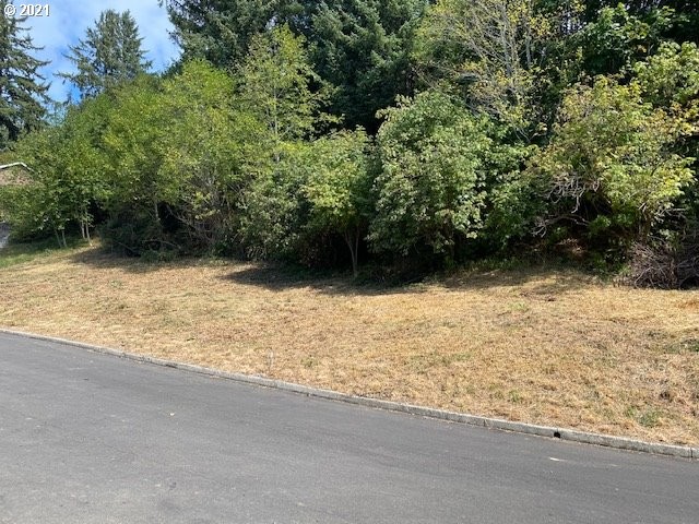 Fantastic views from this over 1/2 acre lot, located in - Beach Lot for sale in Florence, Oregon on Beachhouse.com