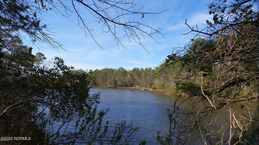 Large, Very Private Waterfront Lot. Wooded, 1+ acre, on - Beach Lot for sale in Oriental, North Carolina on Beachhouse.com