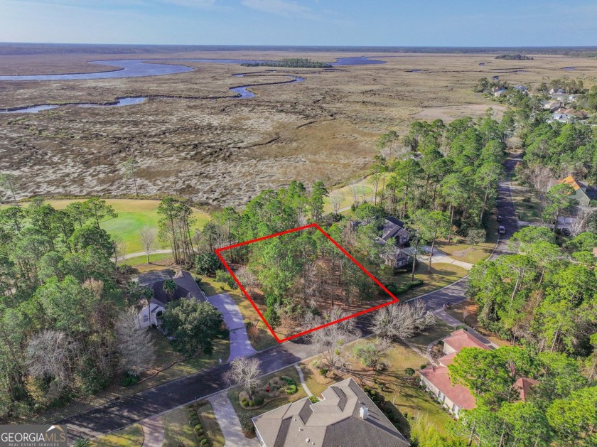 Discover the unmatched beauty of this Southern gem with - Beach Lot for sale in Saint Marys, Georgia on Beachhouse.com