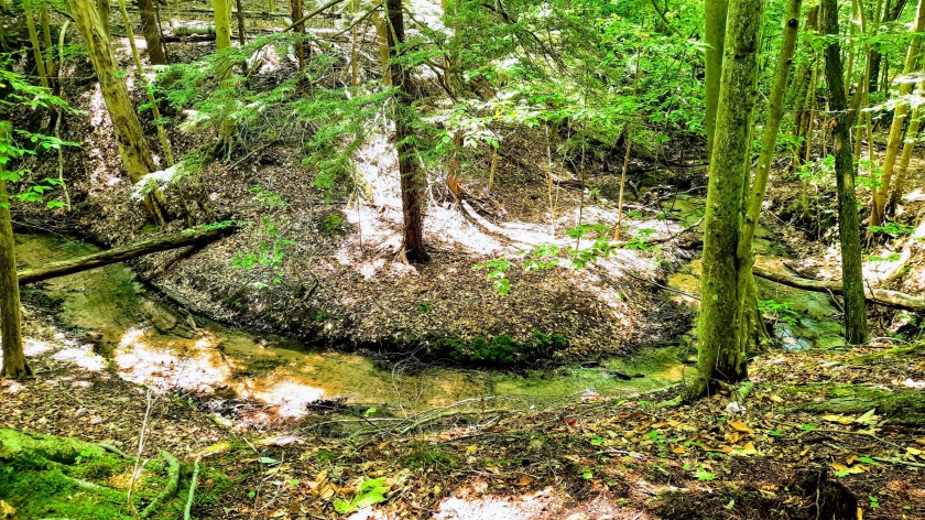 8.5 ACRES in ONEKAMA MI w BUILDABLE LOT on 100 FEET of Level - Beach Acreage for sale in Onekama, Michigan on Beachhouse.com