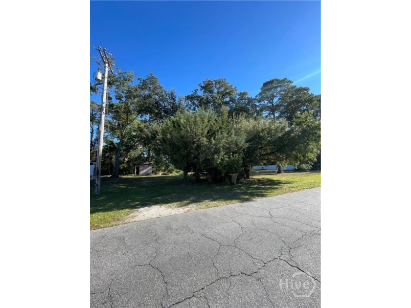 TWO Marsh Front vacant lots! Rare commercial-zoned lot on Tybee - Beach Lot for sale in Tybee Island, Georgia on Beachhouse.com