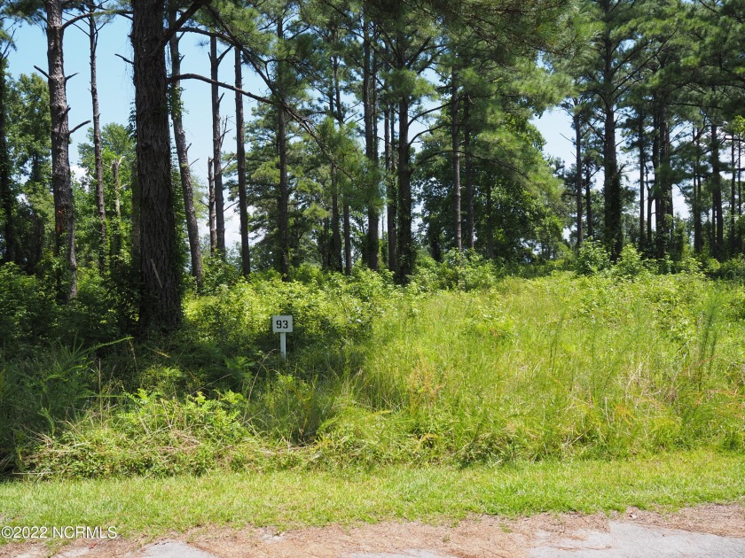 Looking for beautiful waterfront property on the Neuse. Look no - Beach Lot for sale in Havelock, North Carolina on Beachhouse.com