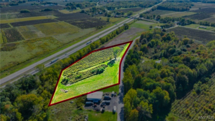 Rare opportunity to own 4.4+/- acres of vineyards in the heart - Beach Acreage for sale in Silver Creek, New York on Beachhouse.com