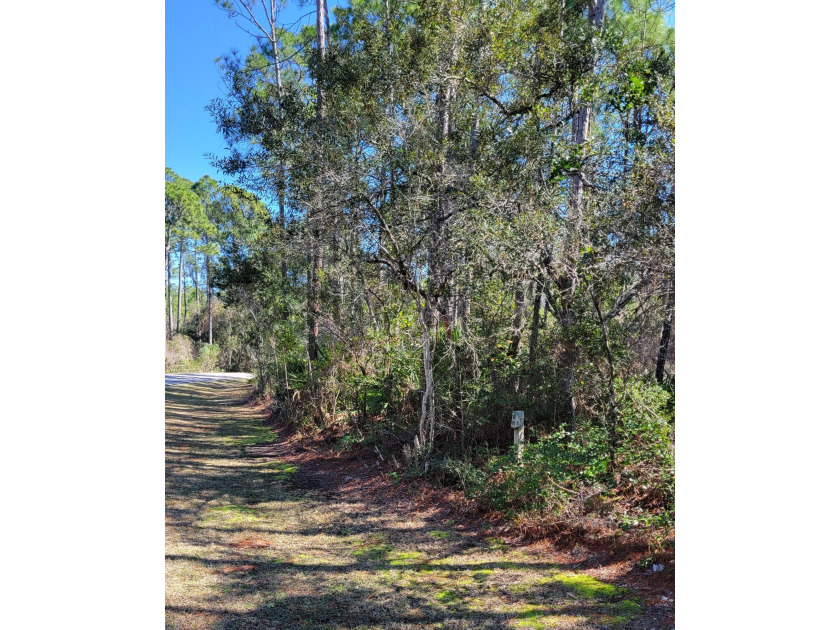 This large, vacant parcel  (0.98 acres) with mature trees is - Beach Lot for sale in Santa Rosa Beach, Florida on Beachhouse.com