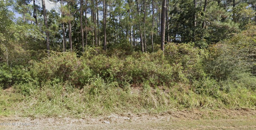 Build Your Vision in Beautiful Ocean Springs! Discover the - Beach Lot for sale in Ocean Springs, Mississippi on Beachhouse.com
