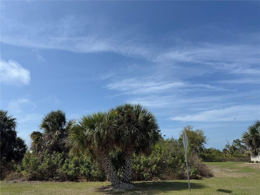 Build your dream home on this 80 x 125 lot located in the - Beach Lot for sale in Rotonda West, Florida on Beachhouse.com