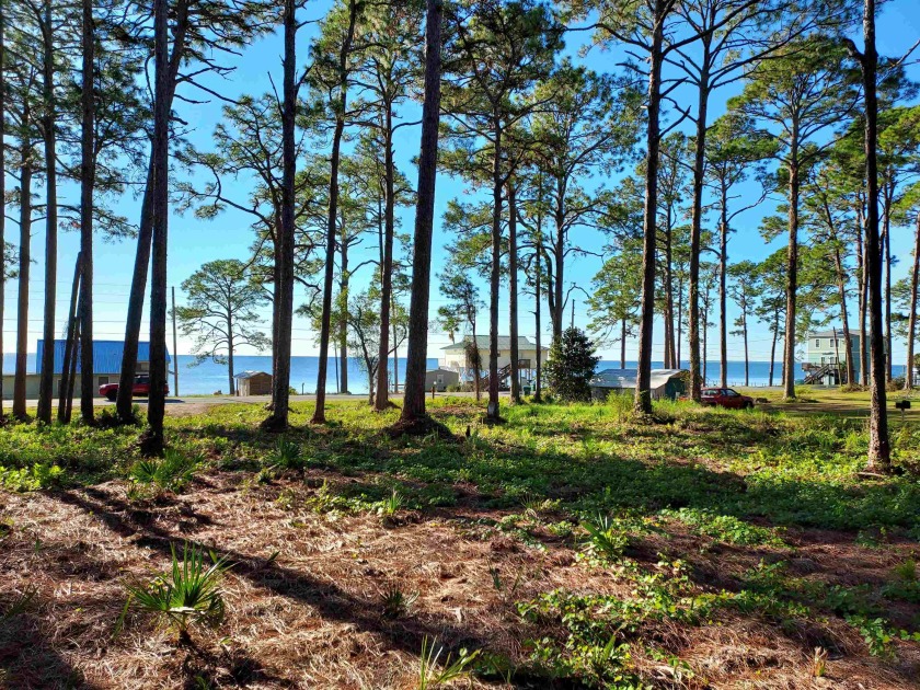 This beautiful high and dry X Flood Zone lot in St James - Beach Lot for sale in Carabelle, Florida on Beachhouse.com