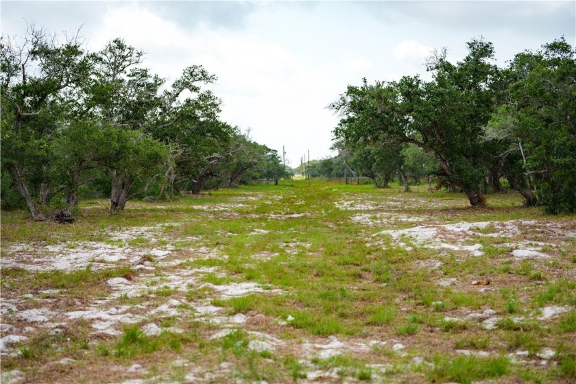 Discover endless opportunities with this 11+/- acre tract - Beach Commercial for sale in Rockport, Texas on Beachhouse.com