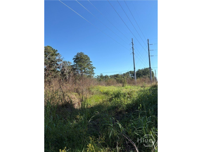Amazing opportunity to own 6.91 acre waterfront tract of land - Beach Acreage for sale in Savannah, Georgia on Beachhouse.com