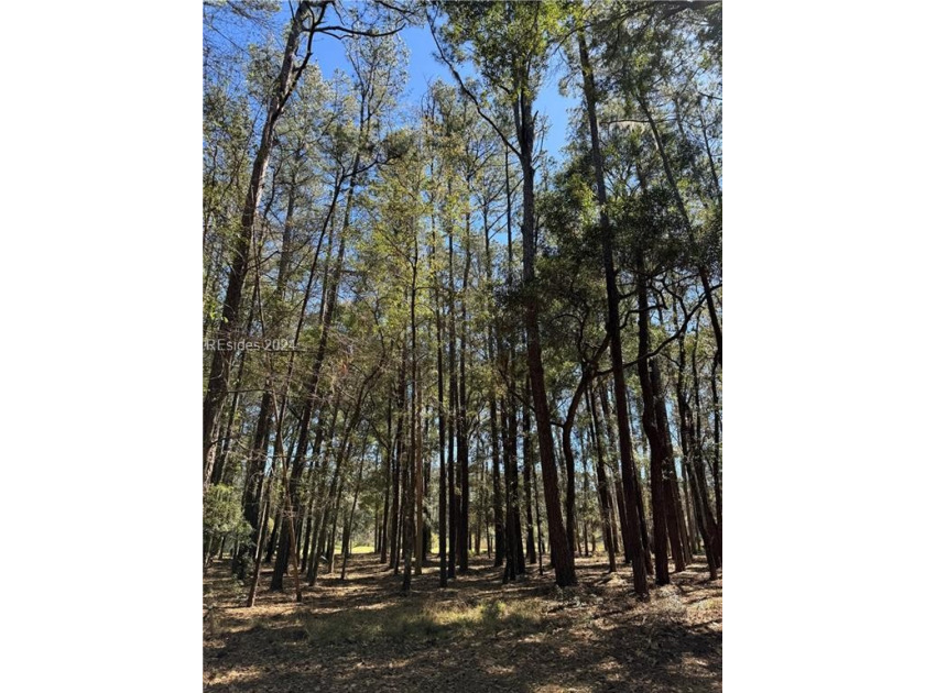 1/2 acre lot backing to marshland just a short ride or walk to - Beach Lot for sale in Daufuskie Island, South Carolina on Beachhouse.com