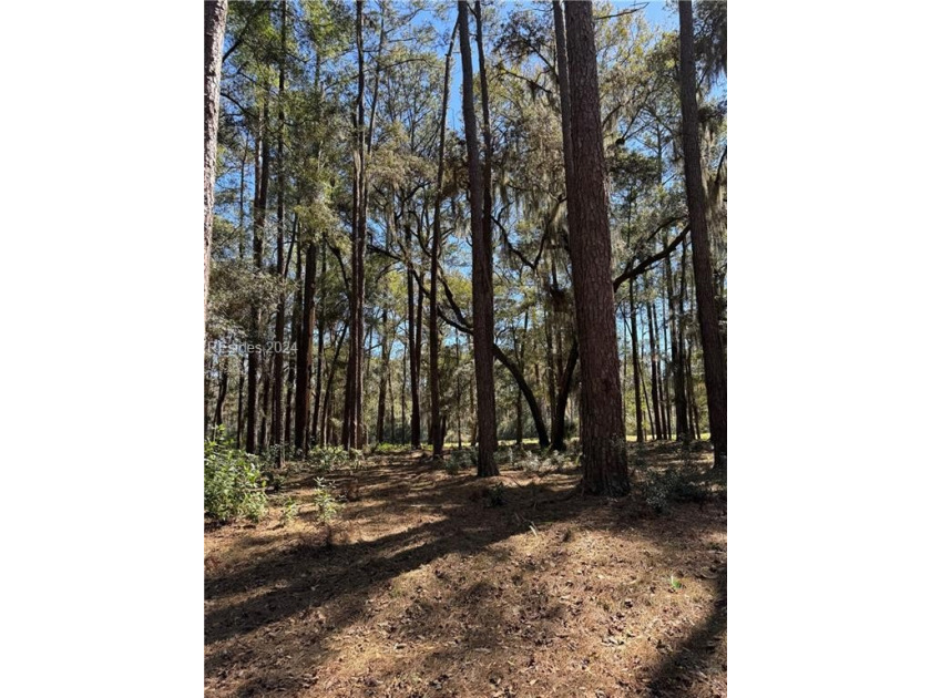 Just under a half acre this beautiful wooded homesite is one of - Beach Lot for sale in Daufuskie Island, South Carolina on Beachhouse.com