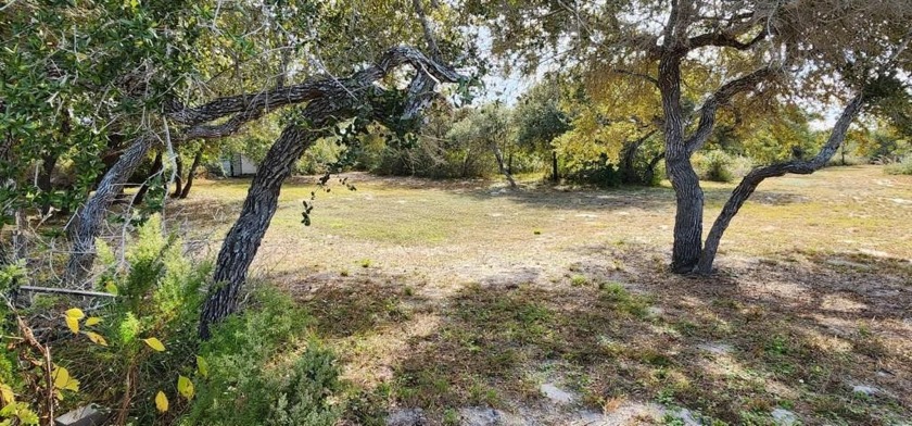 All this property needs is the house! Once there was a home on - Beach Lot for sale in Aransas Pass, Texas on Beachhouse.com