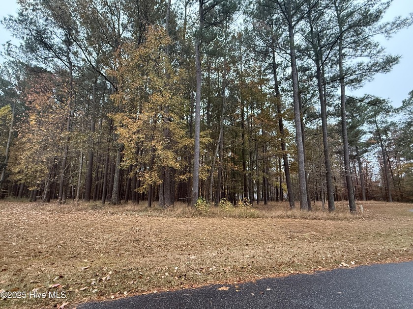 Nice oversized building home site ready for your custom built - Beach Lot for sale in Hertford, North Carolina on Beachhouse.com