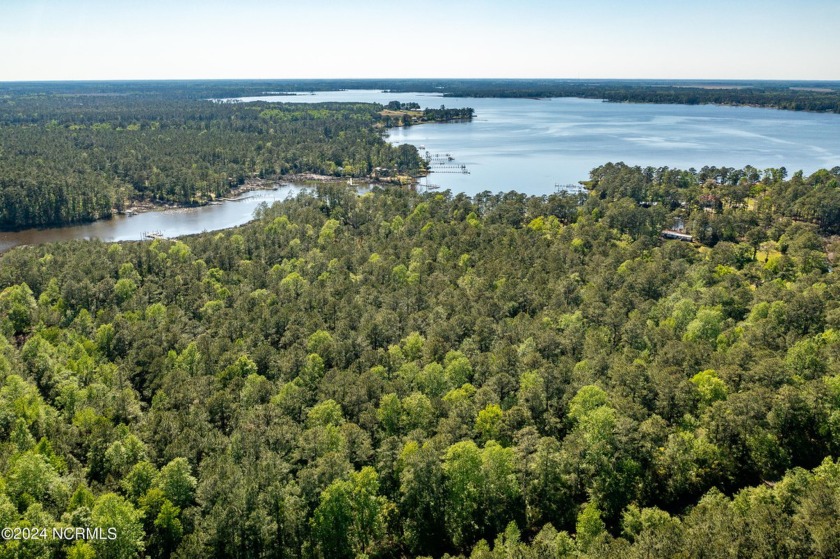 Amazing 8 acre waterfront homesite with beautiful water frontage - Beach Acreage for sale in Merritt, North Carolina on Beachhouse.com