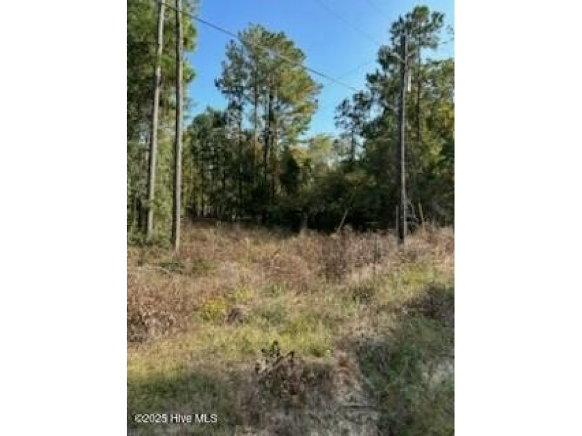 Large lot on the Newport River overlooking Morehead City and - Beach Lot for sale in Newport, North Carolina on Beachhouse.com