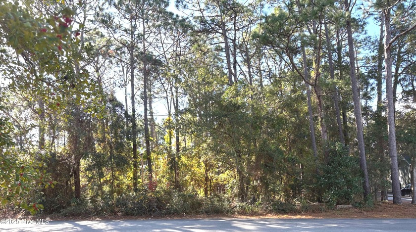 Large wooded lot, .493 acres ,close to downtown Southport. You - Beach Lot for sale in Southport, North Carolina on Beachhouse.com