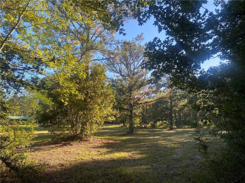 Imagine an absolutely beautiful Home site with an amazing - Beach Lot for sale in Townsend, Georgia on Beachhouse.com