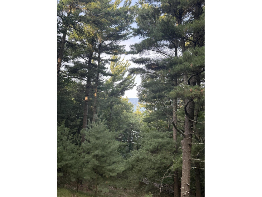 An incredible opportunity to own a piece of paradise on Lake - Beach Lot for sale in Shelby, Michigan on Beachhouse.com