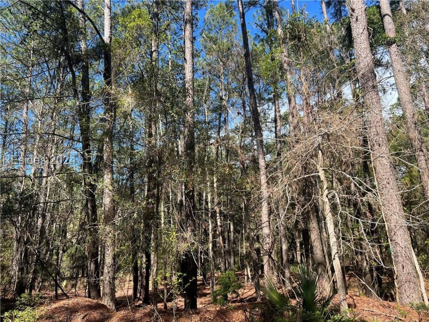 Very large lot with deep water access via the Mungin River - Beach Lot for sale in Daufuskie Island, South Carolina on Beachhouse.com