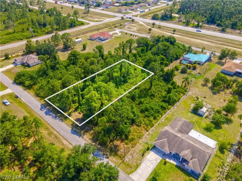 1/2 ACRE LOT with potential to buy lot next door for 1 FULL ACRE - Beach Lot for sale in Lehigh Acres, Florida on Beachhouse.com